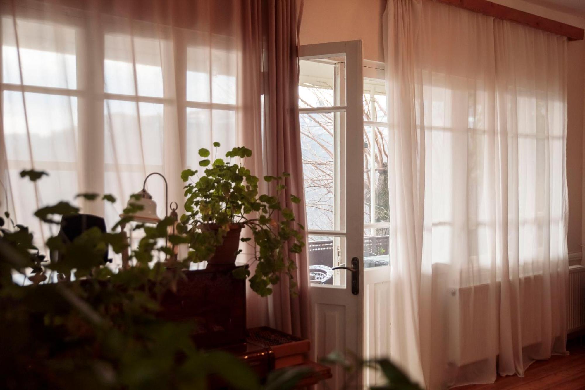 Tuta House Sighnaghi Hotel Ngoại thất bức ảnh